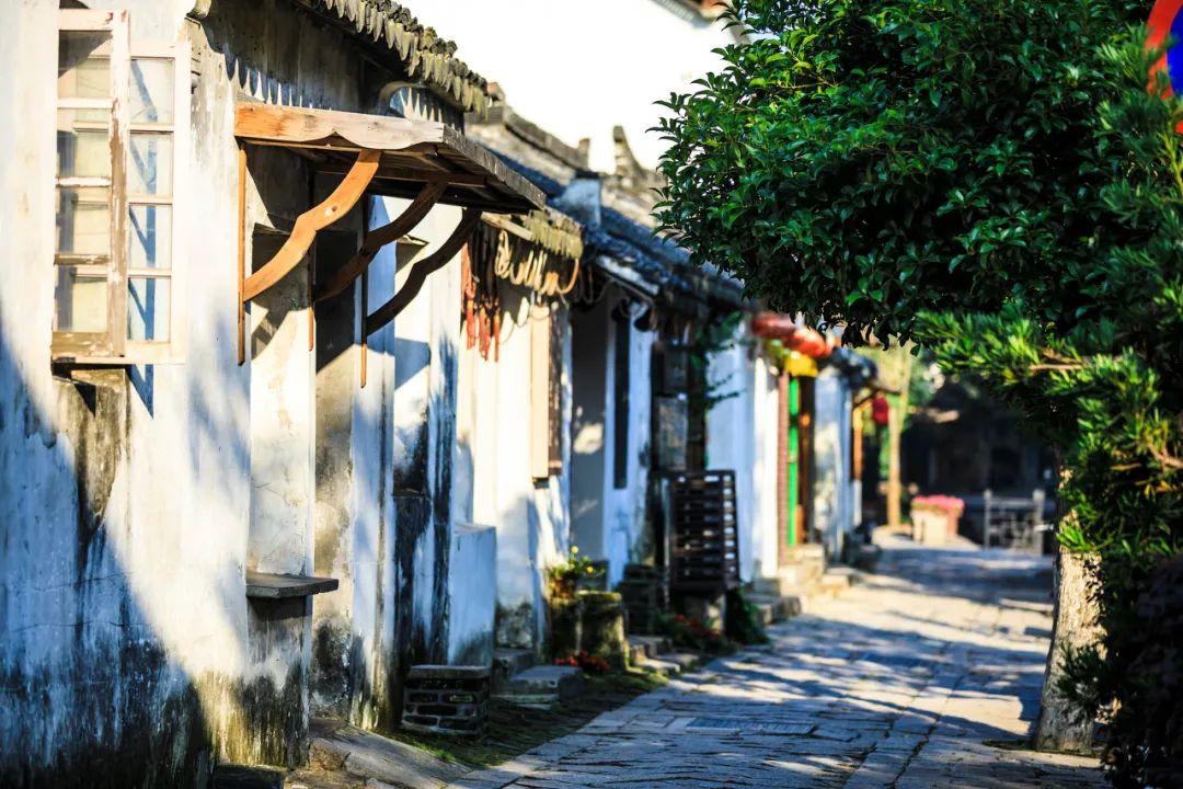 你会因为他人的话而改变自己/劝自己孩子改变专业吗？游戏画面